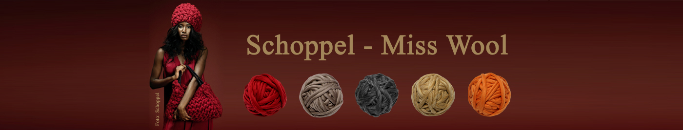 Schoppel Miss Wool 2
