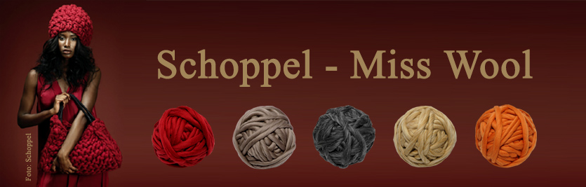 Schoppel Miss Wool 2