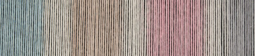 Schoppel - ZAUBERBALL ® Cotton - 2624 Elchtest