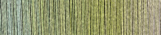 Schoppel - ZAUBERBALL ® Cotton - 2341 Junges Gemüse
