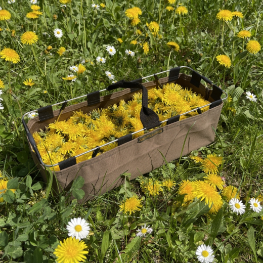 MeinPilzkorb - Pilzkorb Beerenkorb faltbar