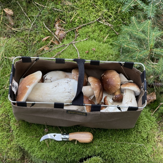 MeinPilzkorb - Pilzkorb Beerenkorb faltbar