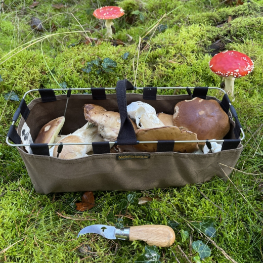 MeinPilzkorb - Pilzkorb Beerenkorb faltbar