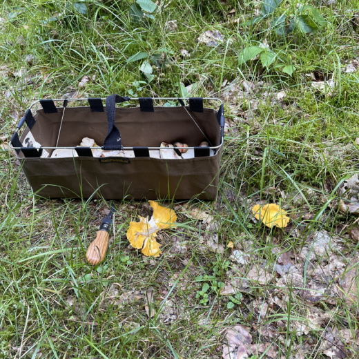 MeinPilzkorb - Pilzkorb Beerenkorb faltbar