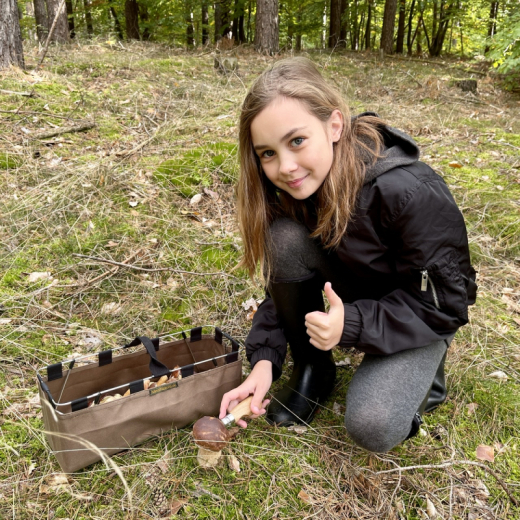 MeinPilzkorb - Pilzkorb Beerenkorb faltbar