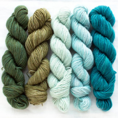 MANOS DEL URUGUAY - Strickset Fino Mini - FM06 Flora