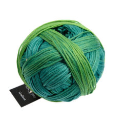 Schoppel - Gradient - 1878 In der Wiese